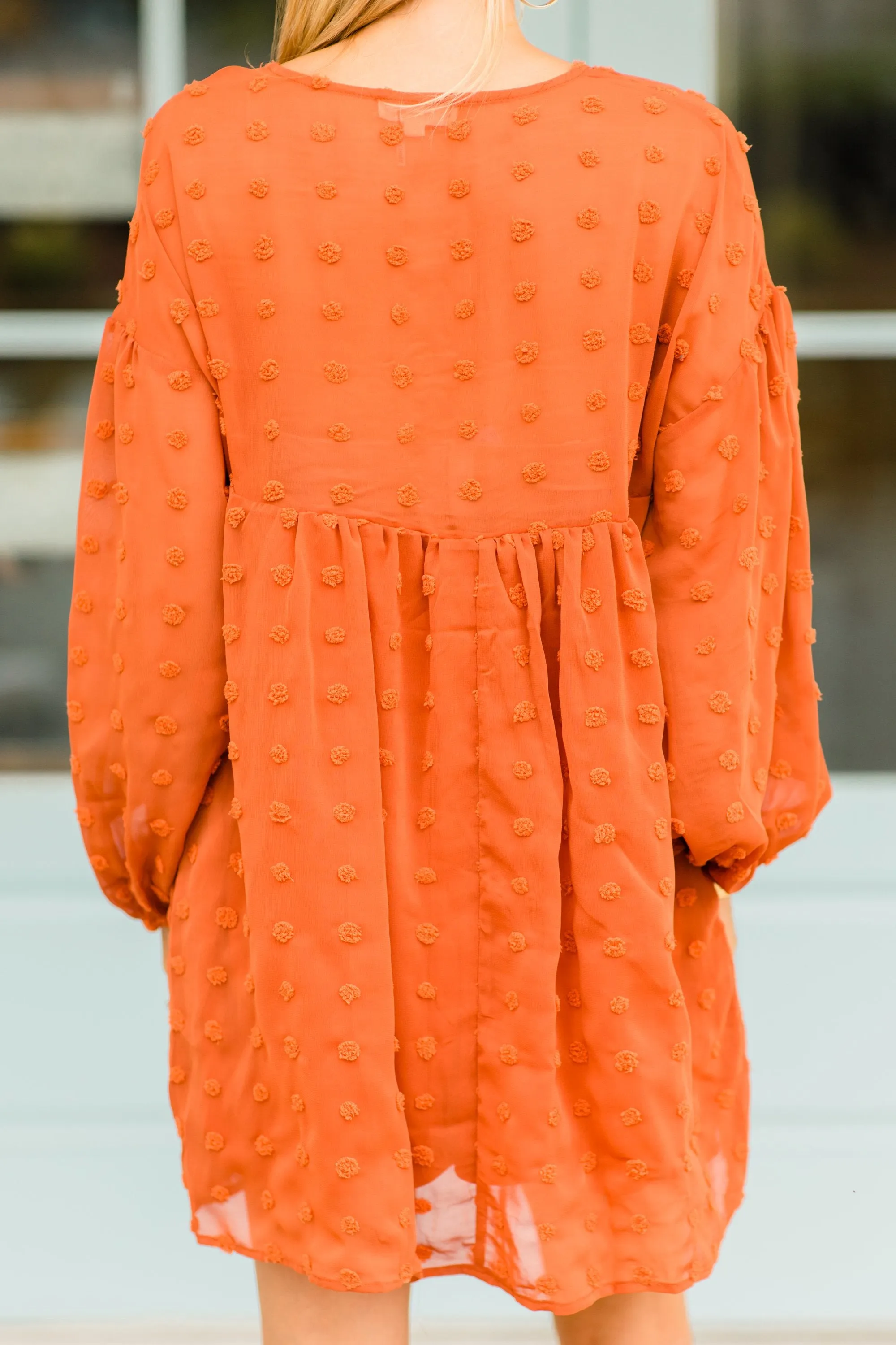 Everywhere I Go Rust Orange Swiss Dot Dress