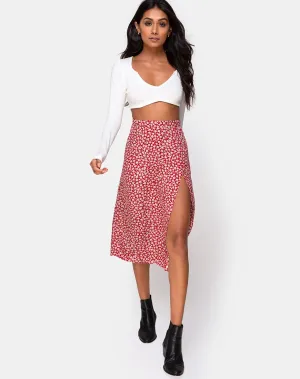 Saika Skirt in Ditsy Rose Red Silver